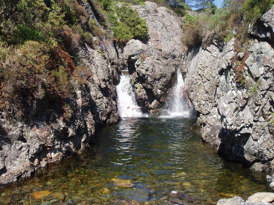 Alone In The Woods With Your Own River Nearby Fitjar Buitenkant foto