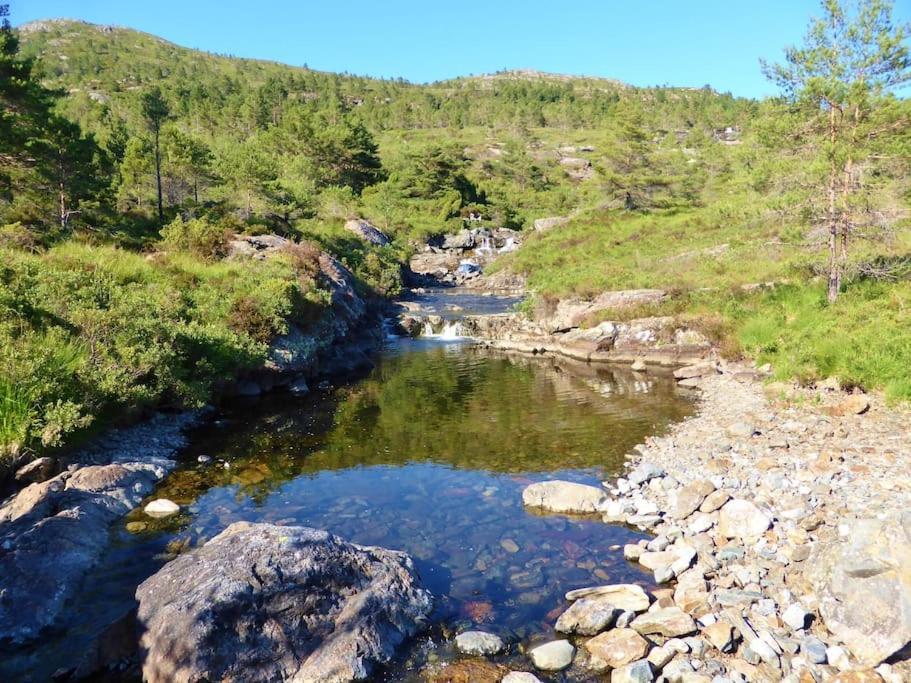 Alone In The Woods With Your Own River Nearby Fitjar Buitenkant foto