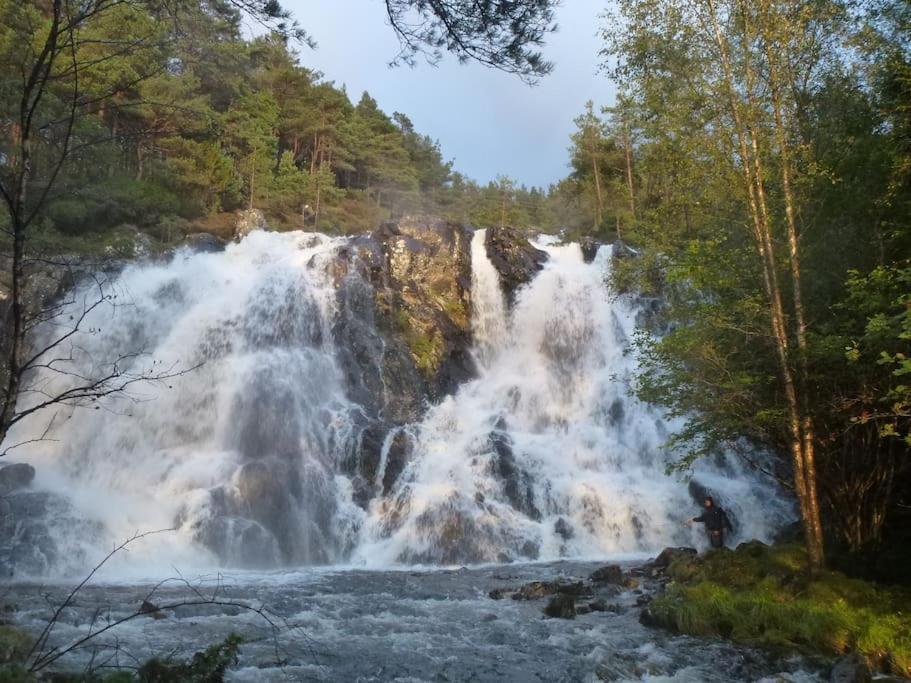 Alone In The Woods With Your Own River Nearby Fitjar Buitenkant foto